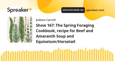 Show 167: The Spring Foraging Cookbook, recipe for Beef and Amaranth Soup and Equisetum/Horsetail