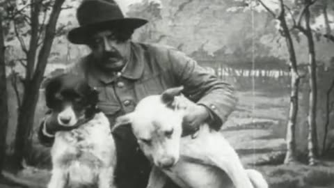 Dogs Used As Smugglers (1906 Original Black & White Film)
