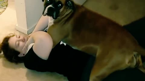 Women brutally molested by boxer dogs!?