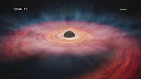 A Giant Black Hole Destroys a Massive Star 🤯