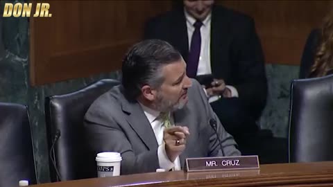 Epic: Ted Cruz Explodes On Amnesty Supporters