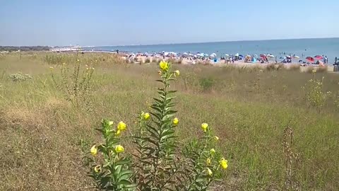 Vacanze a Marina di Ravenna