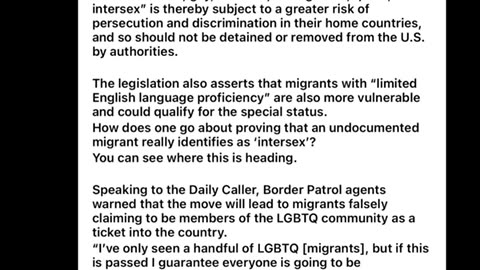 Democratic gay illegal immigrant treason bill