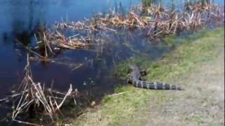 golf course water hazard