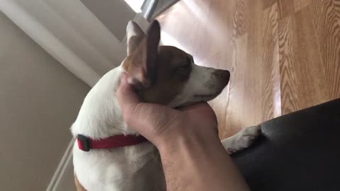 Dont stop human! Give me love
