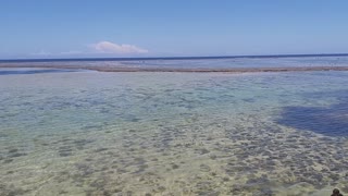 Clear Water -looks magnificent