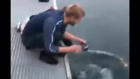 Amazing video GUY drops his phone but this beluga whale take care