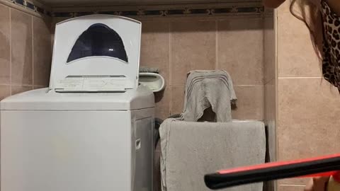 Woman Finds Rat in Washing Machine