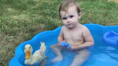 "Adorable Baby 👼🐣 Delightful Duck 🐥🐥🐤 Playtime in Water!"😍