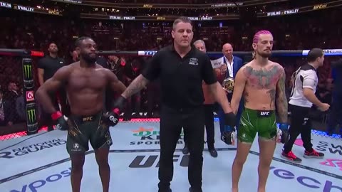 Sean O’Malley KOs Aljamain Sterling at UFC 292