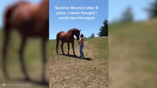 These Animals Reunited With Owners After Years !