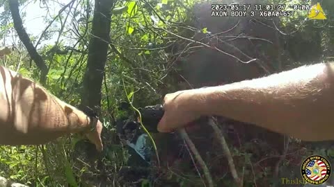 Body cam video captures moment bees swarm fleeing suspects, FL deputies and K-9s in woods