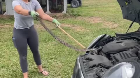 Removing Snake from Under Hood of Car