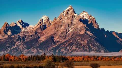 God's Touch - Lung Cancer (Jeff Osburn)