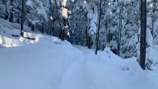 Entering Snowy Spooky Thicker Forest – Central Oregon – Swampy Lakes Sno-Park