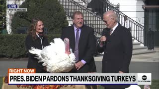 Biden pardons turkeys as part of annual tradition