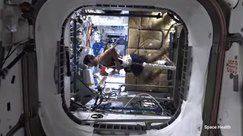 science of nasa,s SpaceX crew-6 mission