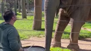 Elephant play a drum🙈😂