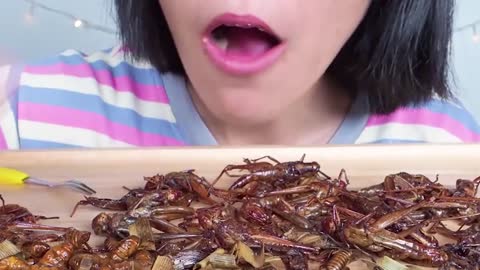 #Extreme Food - This Youtuber eats cockroaches!?