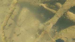 Lake Almanor Scuba Dive