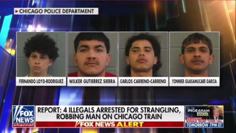 Four illegals arrested for strangling robbing man on Chicago train