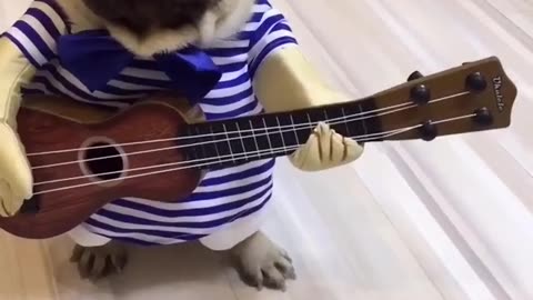 Play a song for you. You like to take a song?