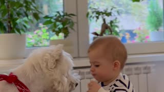 Baby Shares Snack With Doggy Best Friend