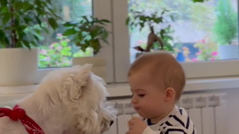 Baby Shares Snack With Doggy Best Friend
