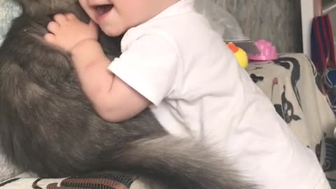 Cute kitten and super affectionate baby