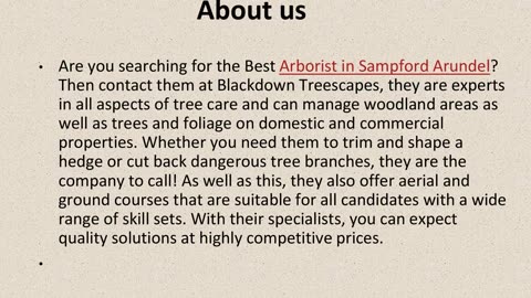 Best Arborist in Sampford Arundel.