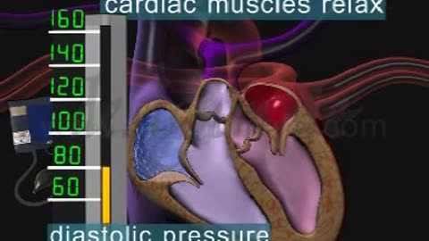 What is systolic and diastolic blood pressure?