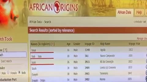 PT.2 THIS WEBSITE SHOWS THE SO CALLED NEGROES EBOO IGBO TRIBES ON THE SLAVE SHIPS