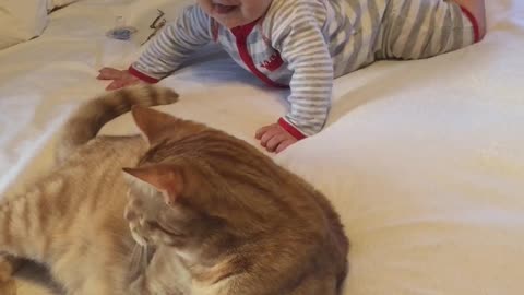 Baby can't stop laughing at playful cat