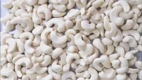 W320 Cashew In High Quality From Factory In Vietnam