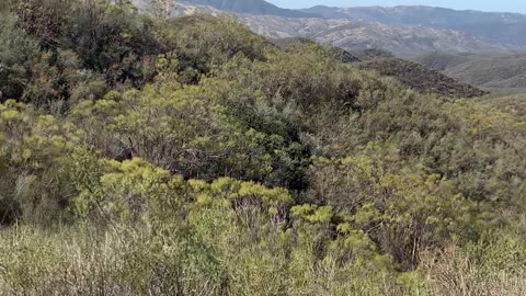 more trails at rock front