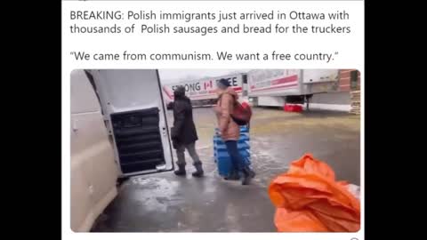 Polish Immigrants Offer Food Assistance to Truck Drivers in Ottawa