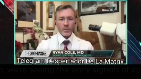 🔴 LA VACUNA DAÑA AL SISTEMA INMUNE Patólogo Ryan Cole