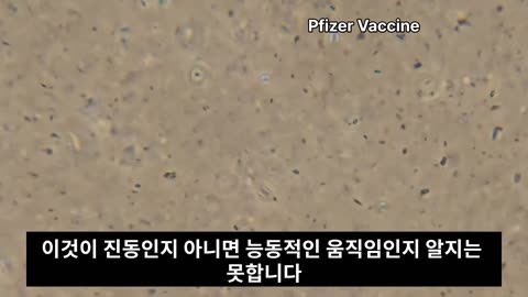 전 세계 사람들에게 보여주는 백신 현미경 영상
