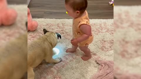 Cute Laughing Baby playing with Doggo