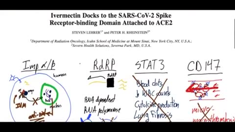 IVERMECTIN MAY PREVENT BINDING OF THE SARS-COV-2 VIRUS TO HUMAN CELLS: TREATMENT/PREVENTION COVID-19