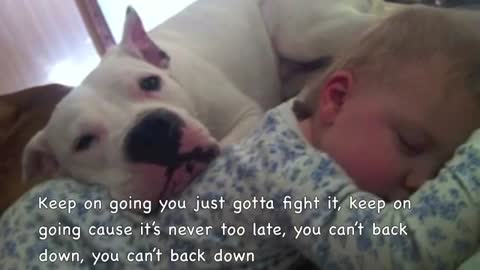 Pit Bull's Don't Cry