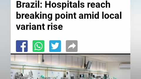 Breaking News from Brazil |Hospital and sanitary collapse cause deaths of thousands of Brazilians