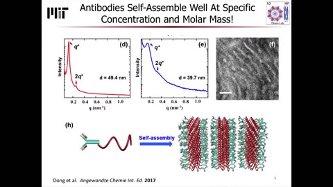 Nanostructuring Proteins for Improved Biosensors: Bradley Olsen, MIT.nano 2018