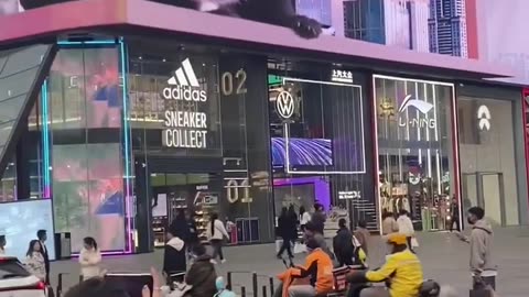 Panda 🐼 3D billboard in china #china #shorts