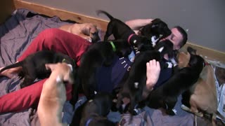 Man Survives Attack by 15 Puppies!