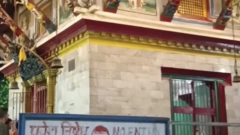 Gai Jatra Special video. Viral Gai Jatra video of Kathmandu.