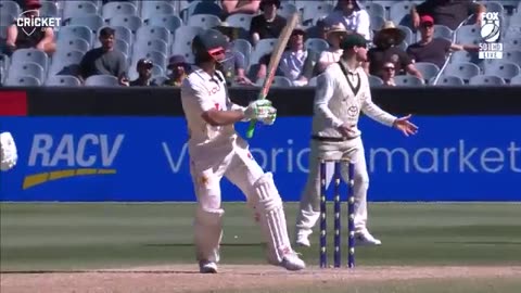 Austrialia vs pakistan 2nd test day four highlight