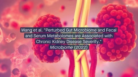 Connections between disease severity, metabolism, and the gut microbiome in chronic kidney disease