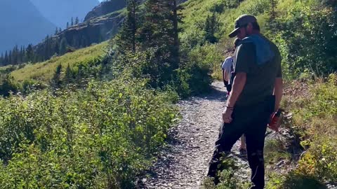 Close Bear Encounter in Glacier National Park