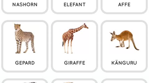 Learn German Wild Animal Names (Lernen Sie deutsche Wildtiernamen)